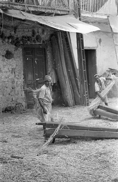 PRZETWÓRSTWO KONOPI, PRACOWNICY W "MACENNELE" autorstwa Ando Gilardi