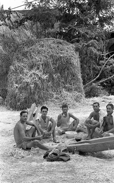 PRZETWARZANIE KONOPI, KRÓTKIE ODŚWIEŻENIE autorstwa Ando Gilardi