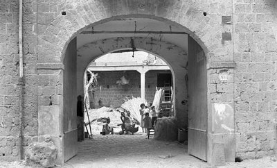 PRZETWARZANIE KONOPI, SUTLERS autorstwa Ando Gilardi