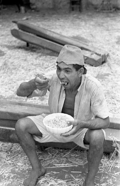 PRZETWARZANIE KONOPI, PRZERWA NA MAKARON autorstwa Ando Gilardi