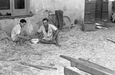 PRZETWARZANIE KONOPI, WSPÓLNA ZUPA autorstwa Ando Gilardi