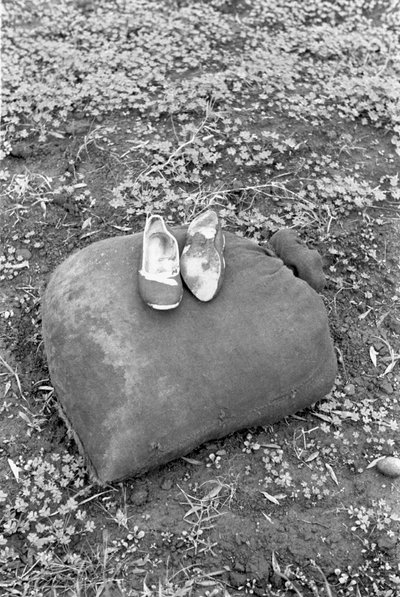 BUTY RACCOGLITRICE Z OLIWEK autorstwa Ando Gilardi