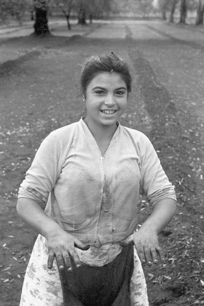 MŁODY ZBIERACZ OLIWEK autorstwa Ando Gilardi