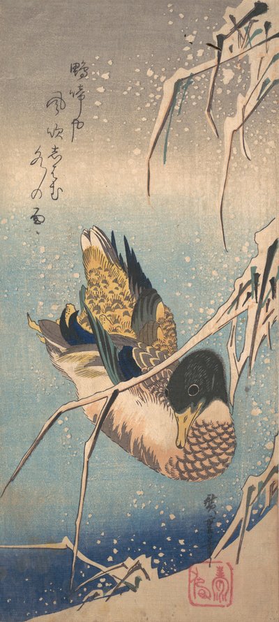 Dzika kaczka w pobliżu zaśnieżonego brzegu, ok. godz. 1843., ca. 1843. autorstwa Ando Hiroshige