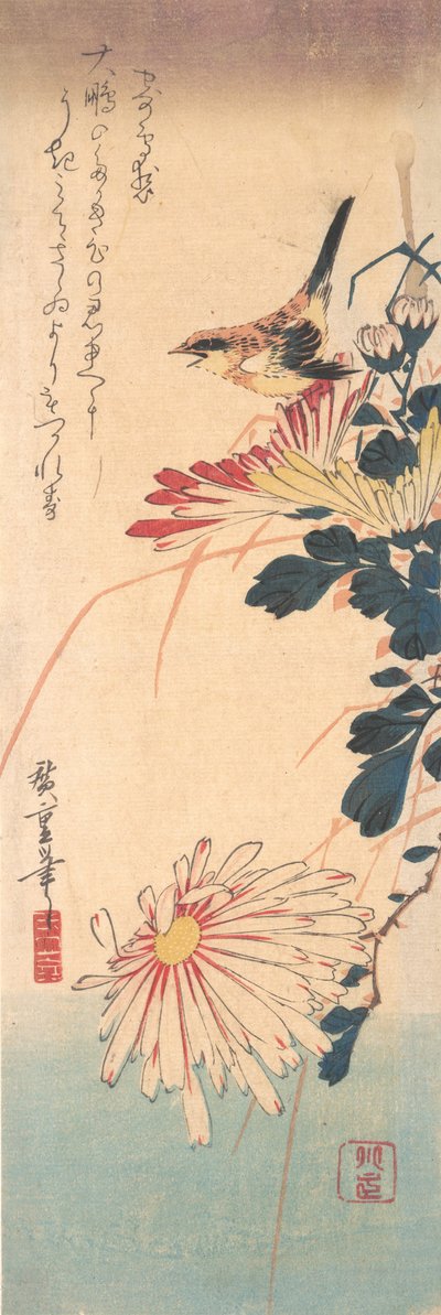 Strzyżyk i Chryzantemy, ca. 1830 r., ok. 1830 r. 1830. autorstwa Ando Hiroshige