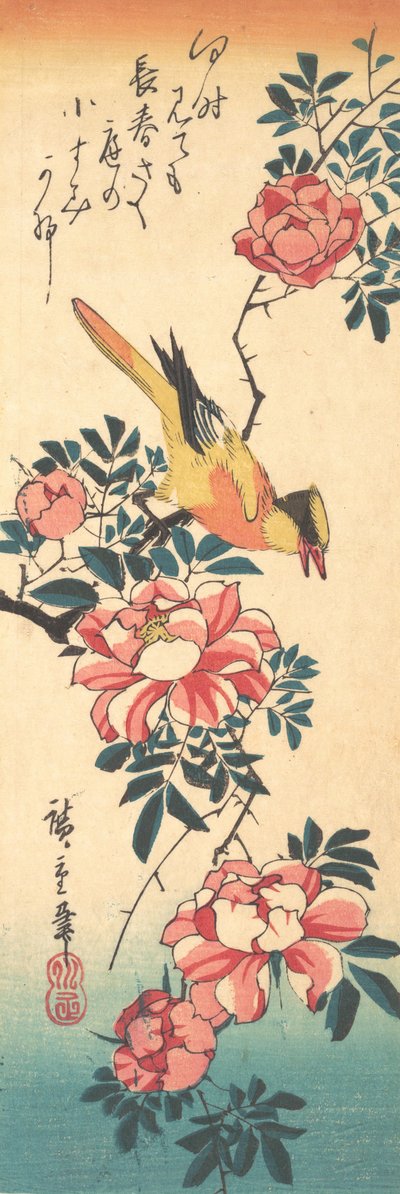 Pliszka szara i róża, początek lat 30. XIX wieku, początek lat 30. XIX wieku. autorstwa Ando Hiroshige