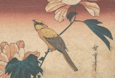 Hibiscus Mutabilis i Jay, ca. 1840 r., ok. 1840 r. 1840 autorstwa Ando Hiroshige