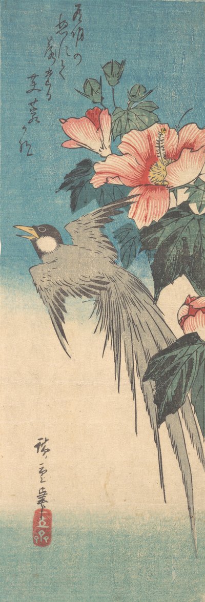 Hibiscus Mutabilis i długoogoniasty, ca. 1842., ca. 1842. autorstwa Ando Hiroshige