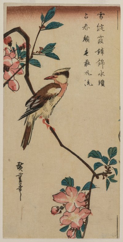 Korean Nightingale on Cherry Branch, początek lub połowa lat 30. XIX wieku. autorstwa Ando Hiroshige