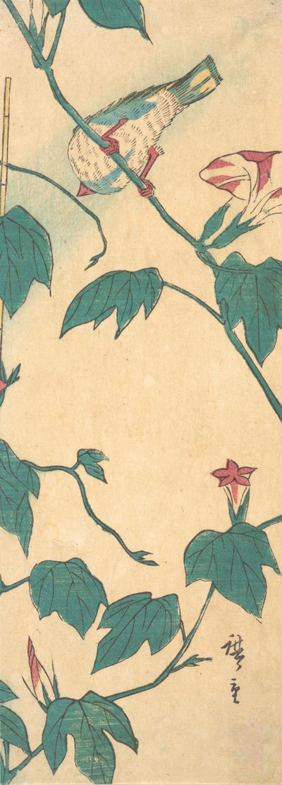 Poranne chwały i ptak, 1840-50., 1840-50. autorstwa Ando Hiroshige