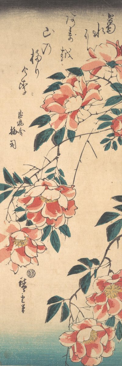 Róże, ca. 1843., ca. 1843. autorstwa Ando Hiroshige