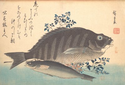 Shimadai i Ainame Fish, z serii Uozukushi Every Variety of Fish, lata czterdzieste XIX wieku, lata czterdzieste XIX wieku. autorstwa Ando Hiroshige