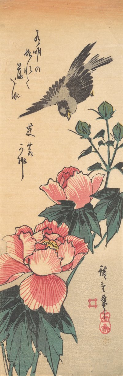 Wróbel i Hibiskus, ca. 1834., ca. 1834. autorstwa Ando Hiroshige