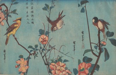 Sikorka i kamelie po prawej, wróbel i dzikie róże pośrodku oraz orlik..., ok. 1833. autorstwa Ando Hiroshige