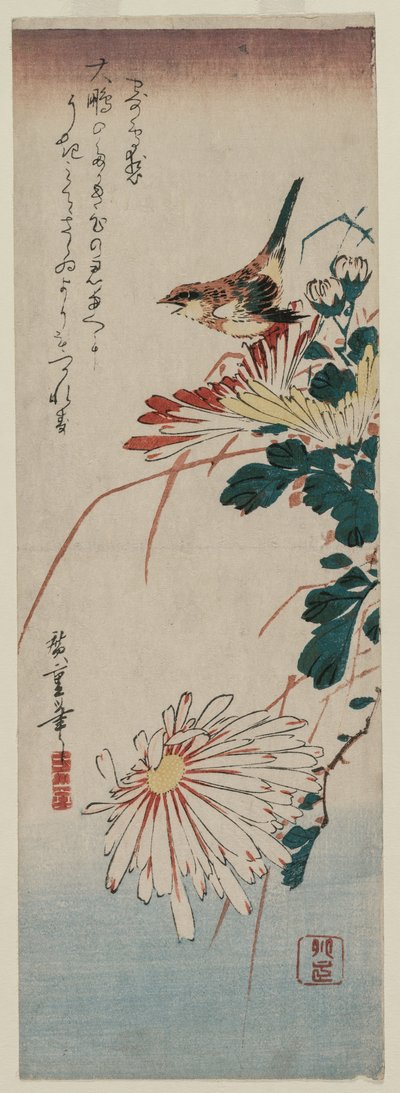 Pokrzewka i chryzantemy, połowa lat 30. XIX wieku. autorstwa Ando Hiroshige