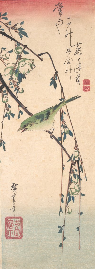 Pokrzewka na gałązce śliwki , ca. 1835., ca. 1835. autorstwa Ando Hiroshige