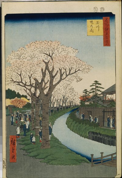 Cent vues celebres d"Edo: Wiśniowe kwiaty nad brzegiem rzeki Tama autorstwa Ando or Utagawa Hiroshige