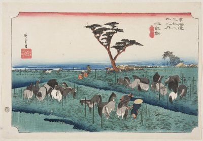 Chiry?: Early Summer Horse Fair (Chiry?, shuka uma ichi) (kolorowy drzeworyt) autorstwa Ando or Utagawa Hiroshige