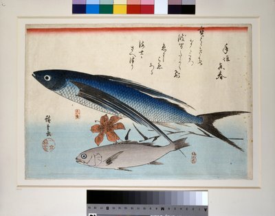 Latająca ryba, ryba ishimochi i lilia autorstwa Ando or Utagawa Hiroshige