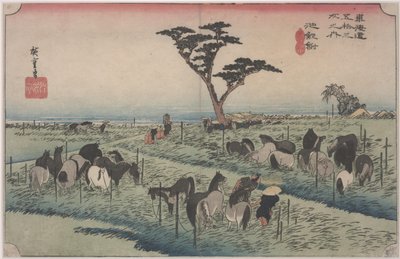 Targi konne wczesnym latem autorstwa Ando or Utagawa Hiroshige
