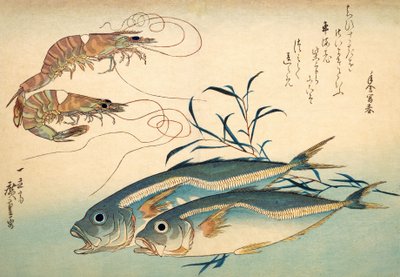 Japońska Makrela i Japońska Krewetka Tygrysia (kolorowy drzeworyt) autorstwa Ando or Utagawa Hiroshige