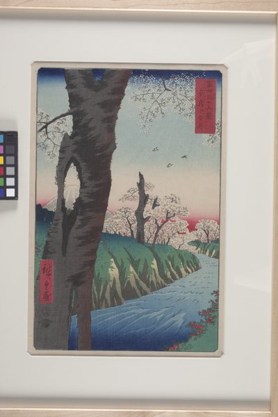 Koganei na província de Musashi (Musashi Koganei) (impressão em xilogravura a cores)polonês autorstwa Ando or Utagawa Hiroshige