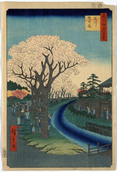Grafika przedstawia turystów oglądających kwiaty wiśni wzdłuż brzegów rzeki Tama w Edo, drzeworyt Ando Hiroshige autorstwa Ando or Utagawa Hiroshige
