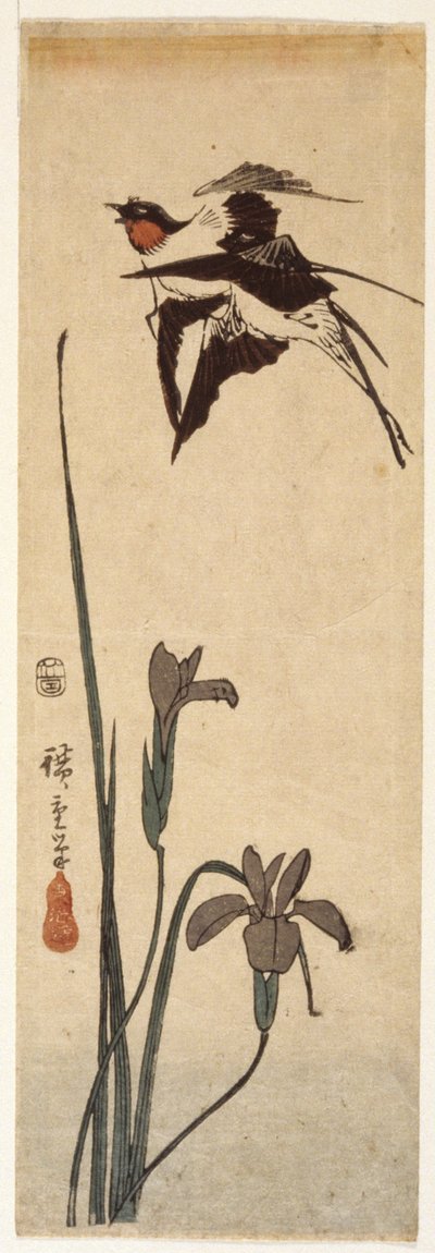 Jaskółki i Irys (drzeworyt kolorowy) autorstwa Ando or Utagawa Hiroshige