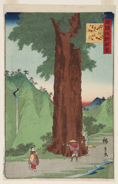 Drzewo cedrowe Yatate w prowincji Kai (K?sh? Yatate sugi) (kolorowy drzeworyt) autorstwa Ando or Utagawa Hiroshige