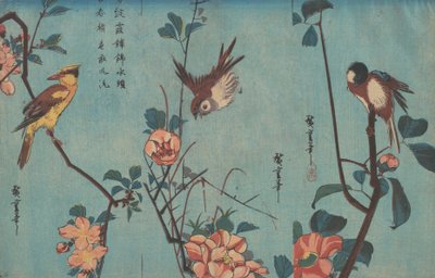 Sikorki i kamelie, wróbel i dzikie róże i wilga czarnowłosa i kwiaty wiśni, ok. 1833 (drewnodruk) autorstwa Ando or Utagawa Hiroshige