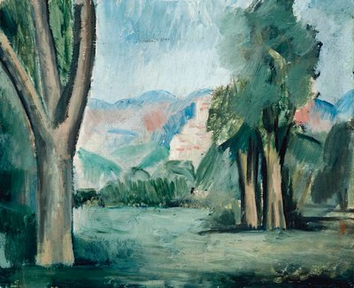 Krajobraz Prowansji autorstwa Andre Derain