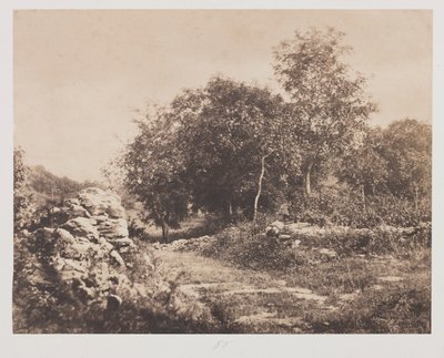 Bez tytułu (Scena z Fontainebleau) autorstwa André Giroux
