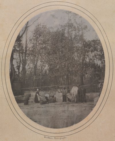 Scena wiejska (południowa Francja) autorstwa Andre Adolphe Eugene Disderi
