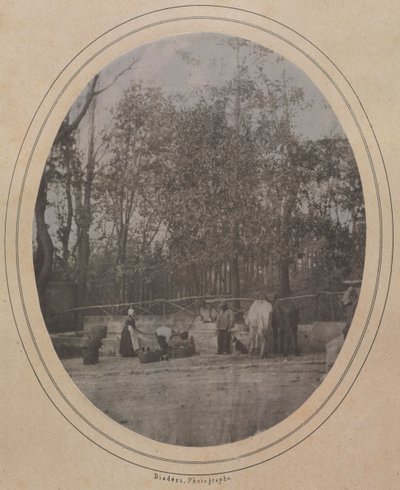 Scena wiejska Południowa Francja, ok. 1930 r. 1853. autorstwa Andre Adolphe Eugene Disderi