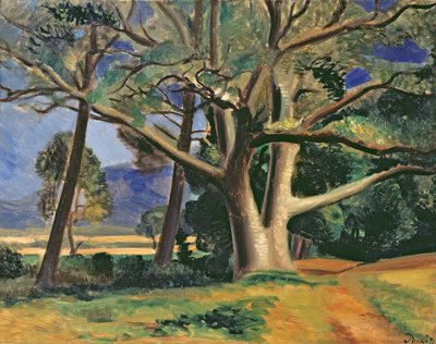 Wielkie drzewo, ok. 1929-30 (olej na płótnie) (zobacz także 287578) autorstwa Andre Derain