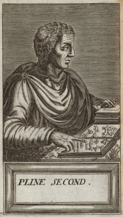 Gajusz Pliniusz Cecyliusz Secundus autorstwa Andre Thevet