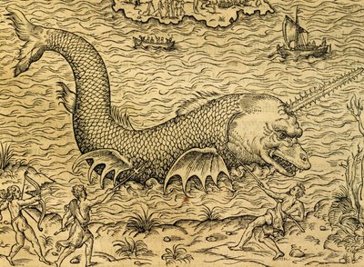 Potwór morski, rycina z Uniwersalnej kosmologii, Andre Thevet (1504-1592), Paryż autorstwa Andre Thevet