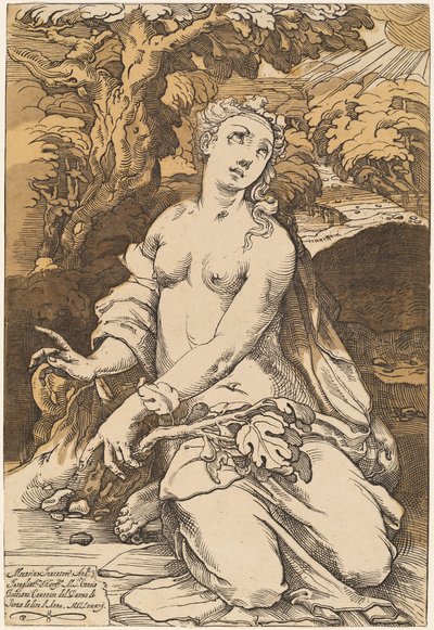 Przeddzień autorstwa Andrea Andreani after Domenico Beccafumi