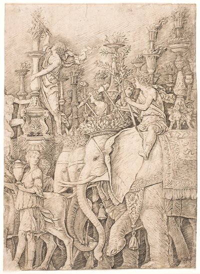 Słonie niosące pochodnie autorstwa Andrea Mantegna