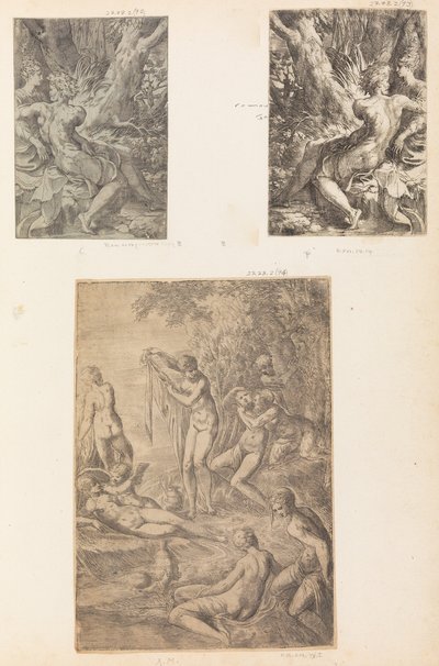 Kąpiel nimfy, prawdopodobnie ok. godz. 1545-50. autorstwa Andrea Schiavone