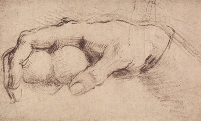 Ręka; rysunek autorstwa Andrea del Sarto