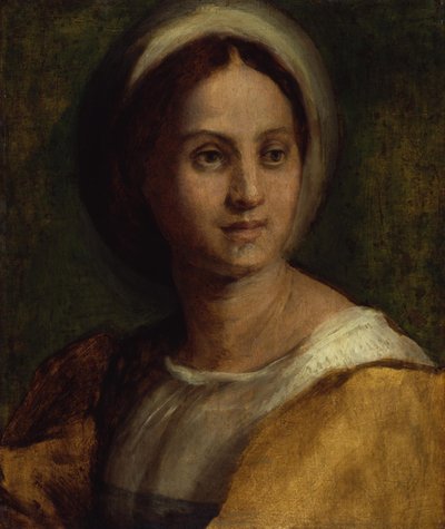 Portret młodej kobiety autorstwa Andrea del Sarto