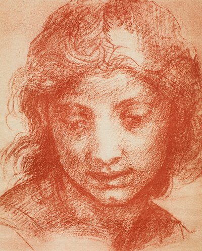 Chłopcy Głowa autorstwa Andrea del Sarto