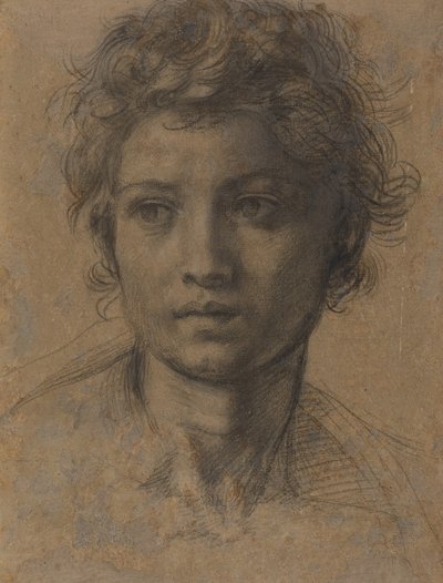 Głowa św. Jana Chrzciciela autorstwa Andrea del Sarto