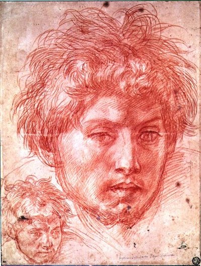 Głowa mężczyzny (czerwona kreda na papierze) autorstwa Andrea del Sarto