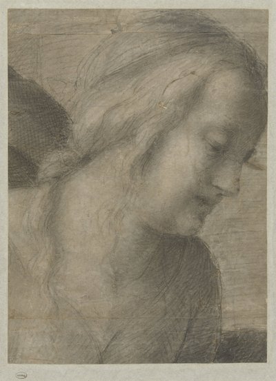 Głowa Maryi podczas adoracji autorstwa Andrea del Sarto