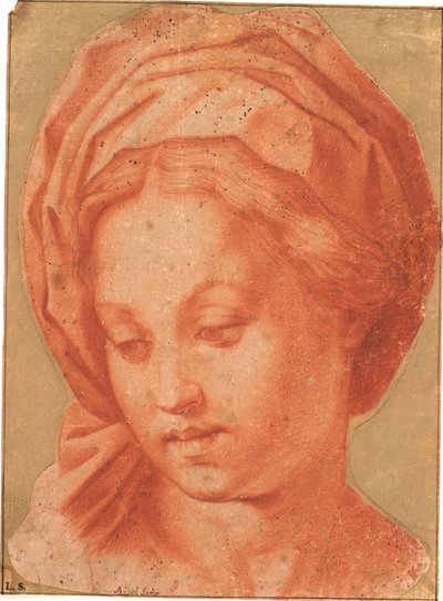 Madonna z Borghese autorstwa Andrea del Sarto