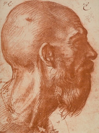 Głowa mężczyzny z profilu autorstwa Andrea del Sarto