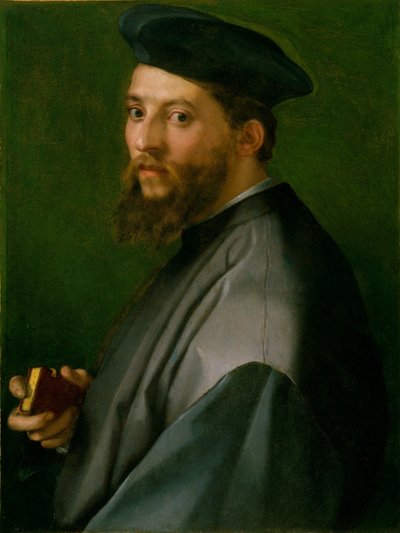 Portret mężczyzny autorstwa Andrea del Sarto