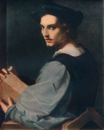 Portret młodzieńca, c1517, 1911 autorstwa Andrea del Sarto
